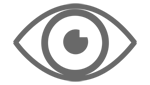 Vision icon